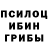 Галлюциногенные грибы Psilocybe Prateek Ajay
