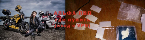 стафф Беломорск
