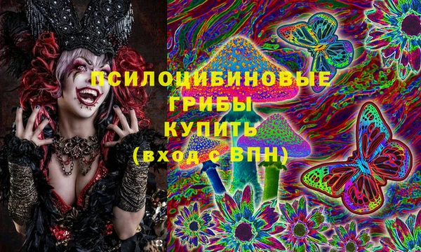 стафф Беломорск