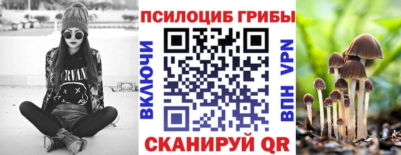 наркошоп  Севск  Псилоцибиновые грибы прущие грибы 